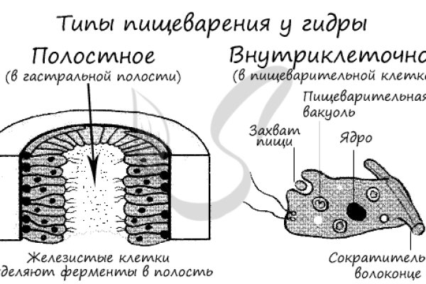 Ошибка на кракене