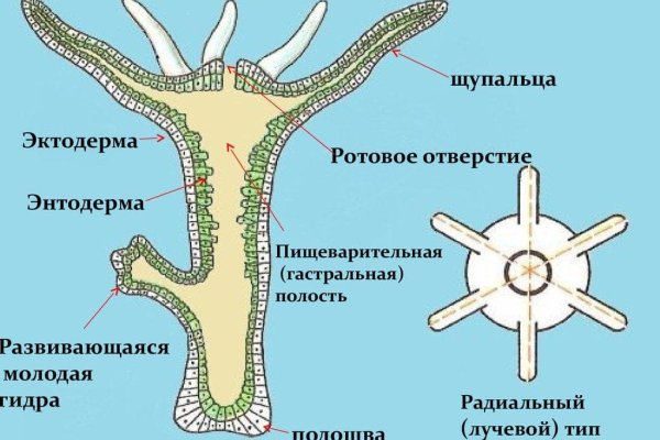 Ссылка на кракен лукойл